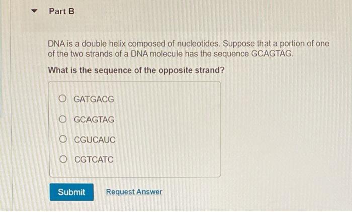 Solved Part B DNA is a double helix composed of nucleotides. | Chegg.com