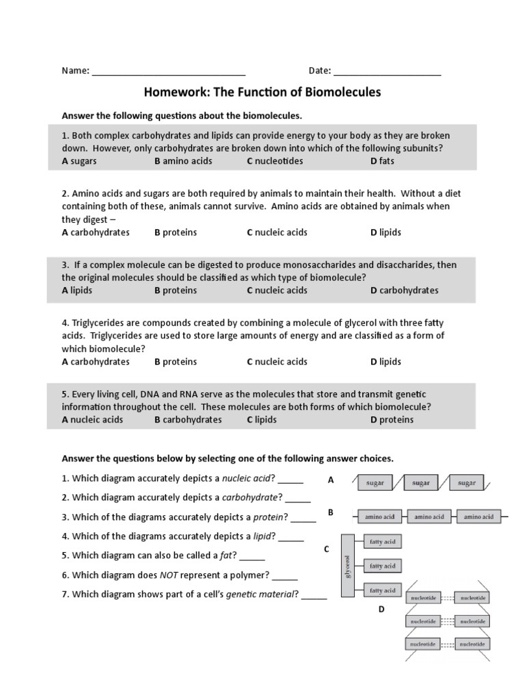 homework the function of biomolecules answer key