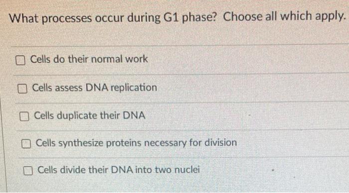 Solved What processes occur during G2 phase? Choose all Biology Diagrams