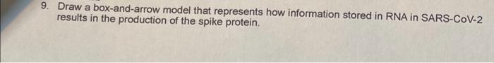 9. Draw a box-and-arrow model that represents how information stored in RNA in SARS-CoV-2
results in the production of the sp