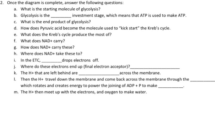 Solved 2. Once the diagram is complete, answer the following | Chegg.com