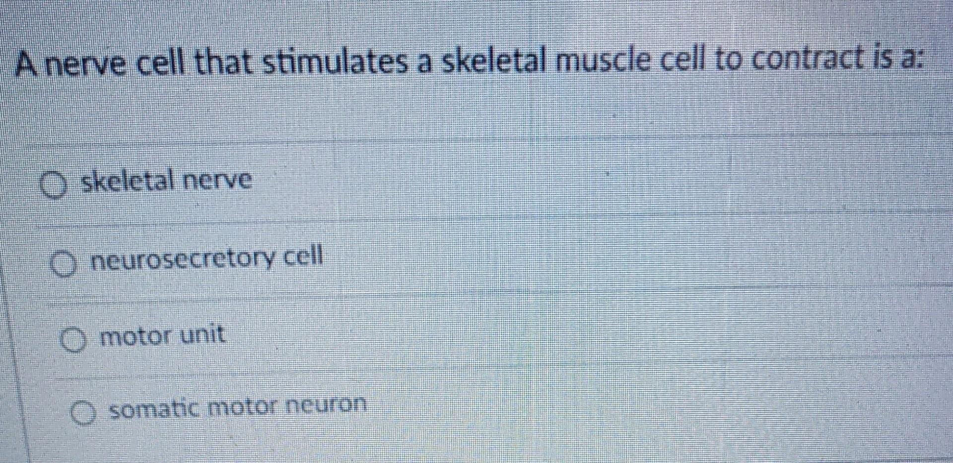 Solved A nerve cell that stimulates a skeletal muscle cell | Chegg.com