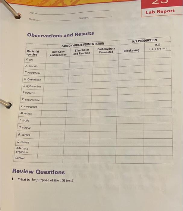 Solved Name: Lab Report Date Section Observations and | Chegg.com
