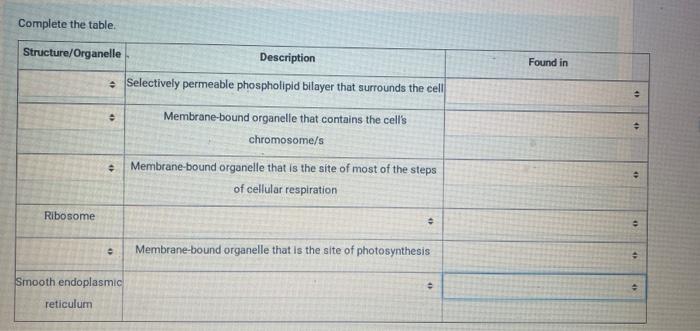 read the essay again and complete the table