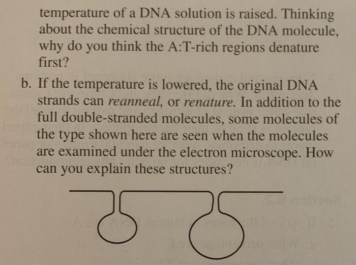 Solved 10 When A Double Stranded Dna Molecule Is Exposed To