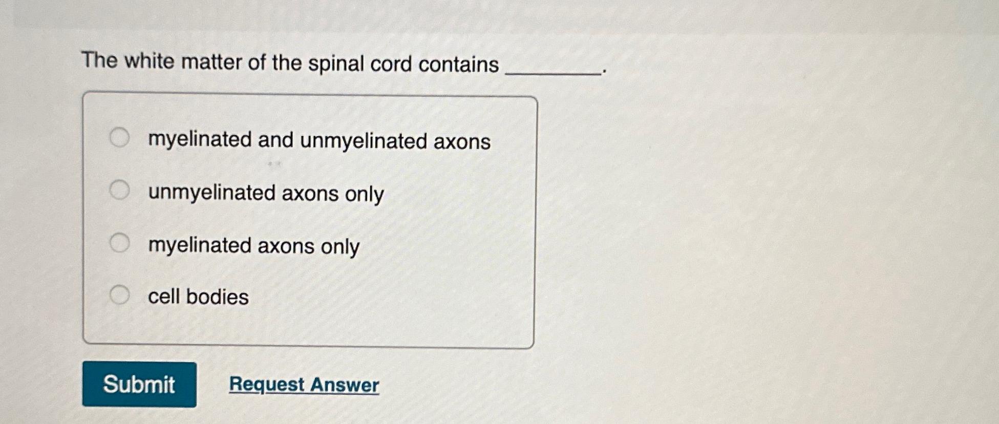 Solved The white matter of the spinal cord | Chegg.com