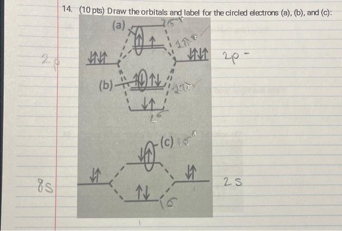 Solved (10 pts) Draw the orbitals and label for the circled | Chegg.com