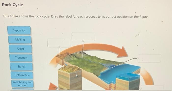 This figure shows the rock cycle. Drag the label for each process to its correct position on the figure.