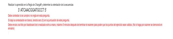 Realizar lo aprendido en la Regla de Chargally determine la orientacion de la secuencias 3 ATCAACGGATGCCT 5 Debe contestar si