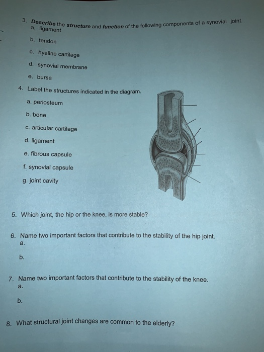 Solved Describe The Function Of The Following Components Chegg Com