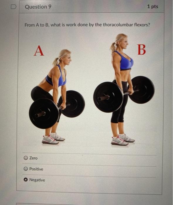 Solved Question 9 1 Pts From A To B What Is Work Done By Chegg