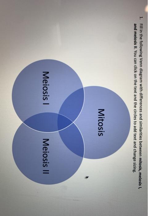 what are the similarities between mitosis and meiosis