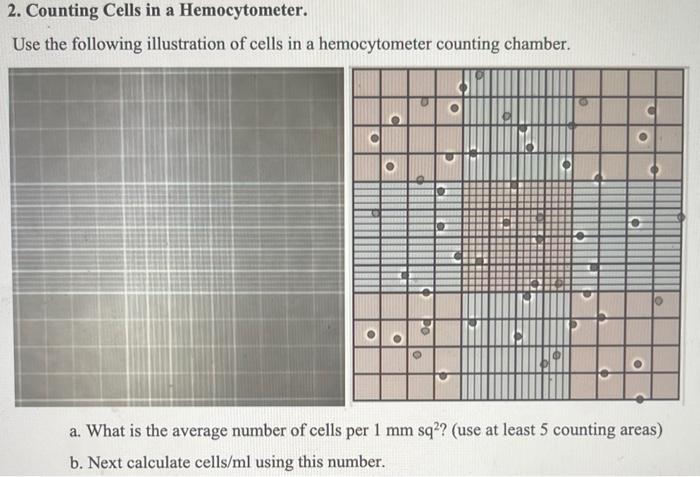 Counting Cells In A Hemocytometer Use The Chegg Com