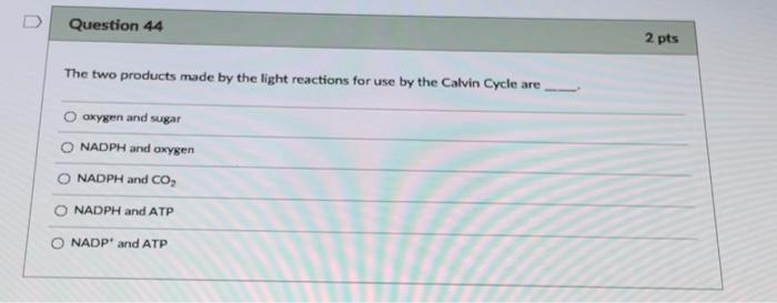 Solved Question 43 2 pts Which of the following equations | Chegg.com