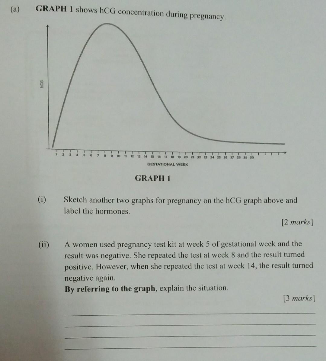 Solved (a) GRAPH 1 shows hCG concentration during pregnancv | Chegg.com