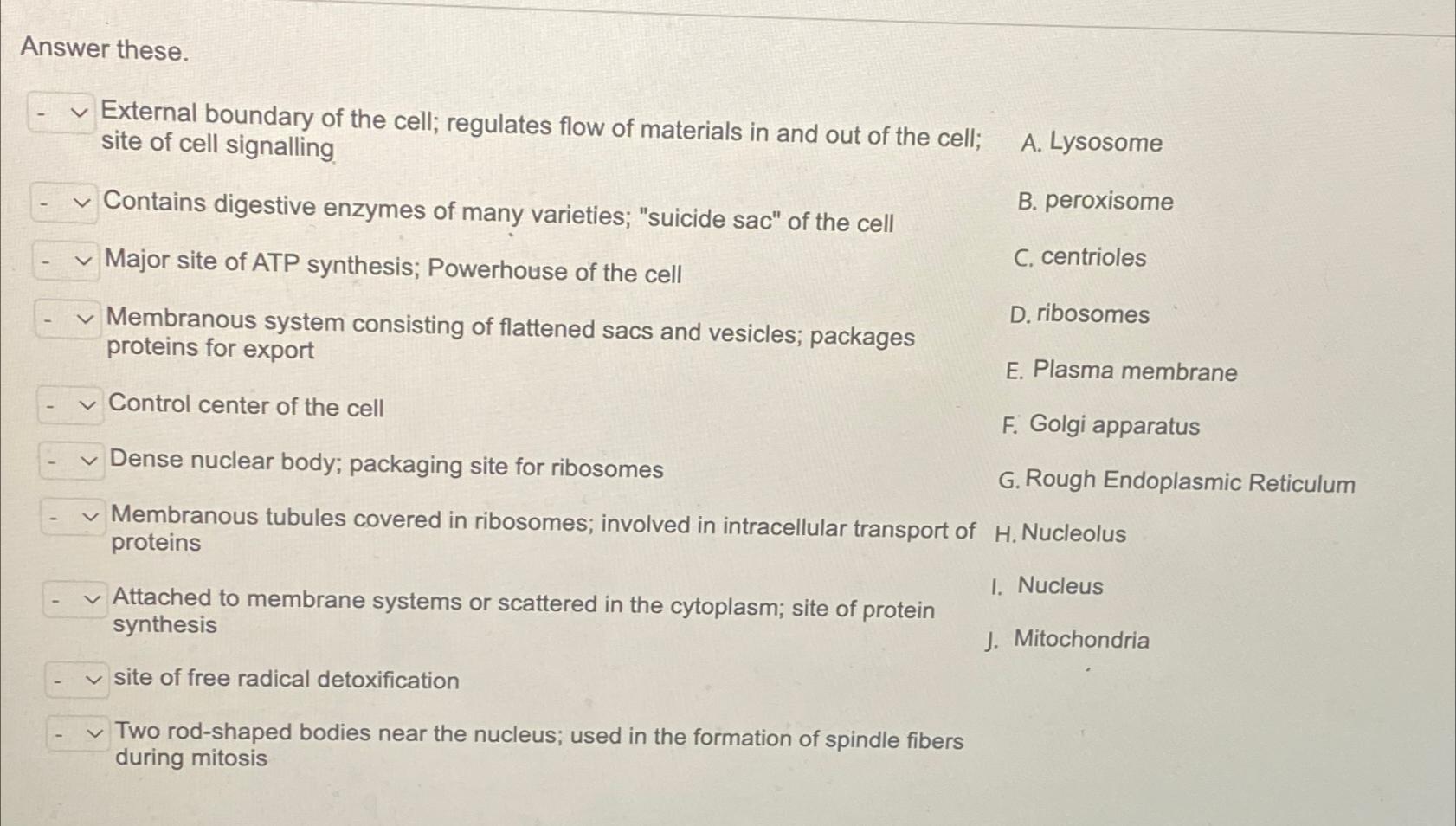 Solved Answer these.External boundary of the cell; regulates | Chegg.com