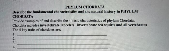 PHYLUM CHORDATA Describe the fundamental | Chegg.com