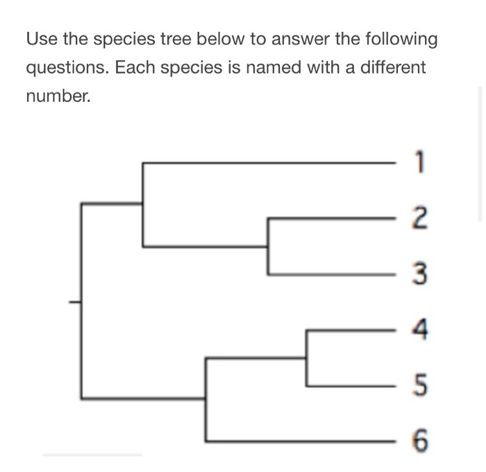 Use the species tree below to answer the following | Chegg.com