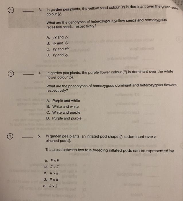 Solved 1 - 3. In garden pea plants, the yellow seed colour | Chegg.com