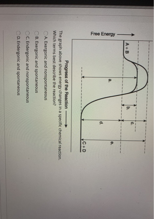 Solved Free Energy C+D Progress of the Reaction — The graph | Chegg.com