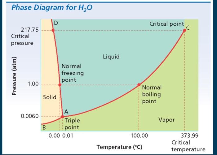 Solved for this phase diagram of water, point A,D,C is | Chegg.com