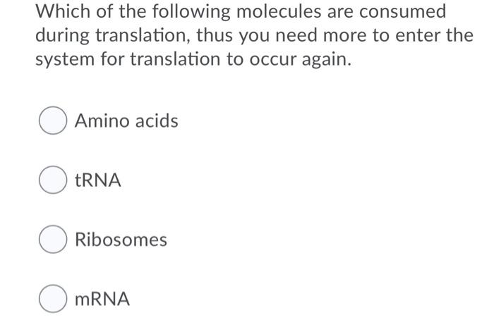 true or false mrna is translated 3 '- 5