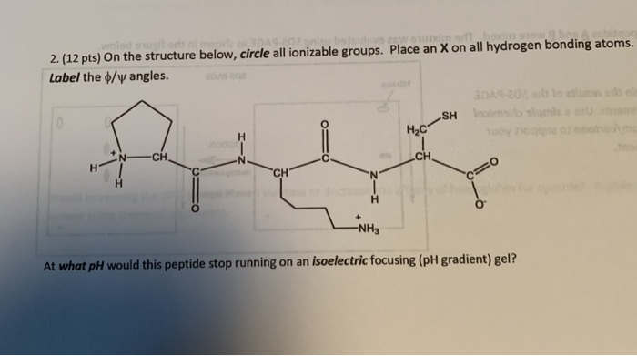 Solved 2 12 Pts On The Structure Below Circle All Ion Chegg Com