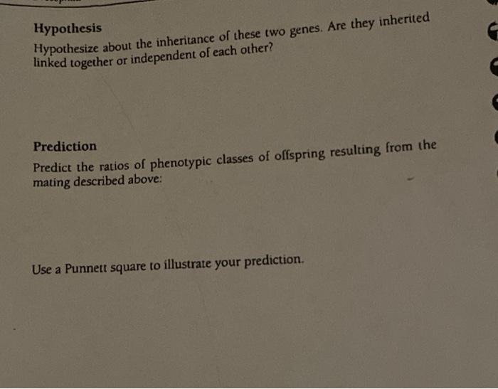 Solved EXERCISE 8.4 Mapping Genes Materials vial la vial 4
