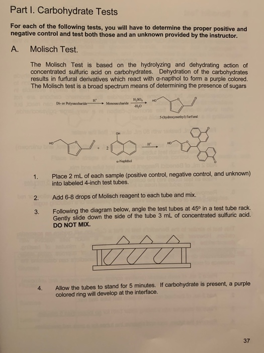 Solved Please answer the positive control and negative | Chegg.com