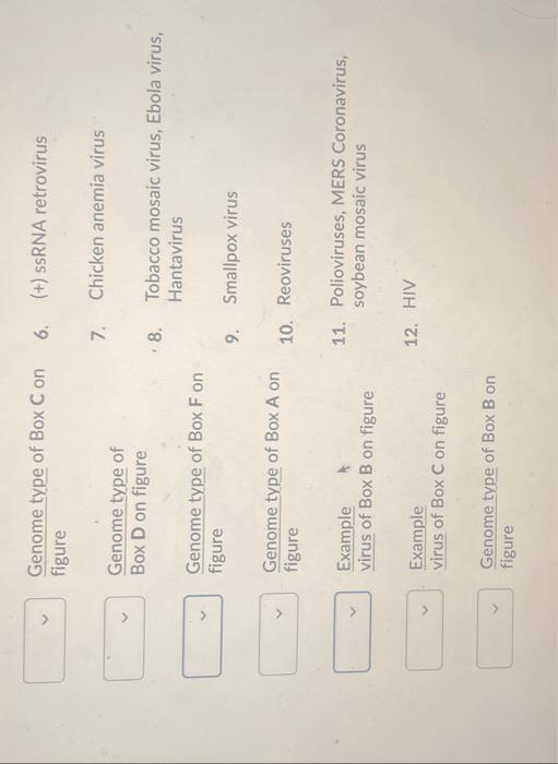 Solved For the following, indicate the relevant genome type | Chegg.com