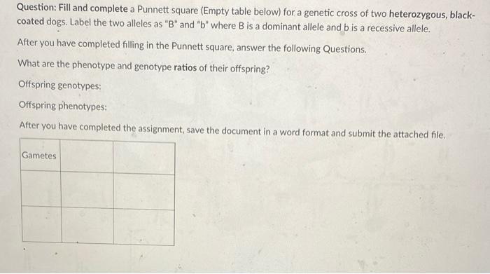 Solved Question: Fill And Complete A Punnett Square (Empty | Chegg.com