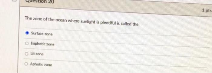 Solved 20 1 pts The zone of the ocean where sunlight is | Chegg.com