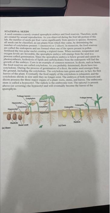 2 and Fungi Worksheet Search A allie 7450Cg Layout | Chegg.com