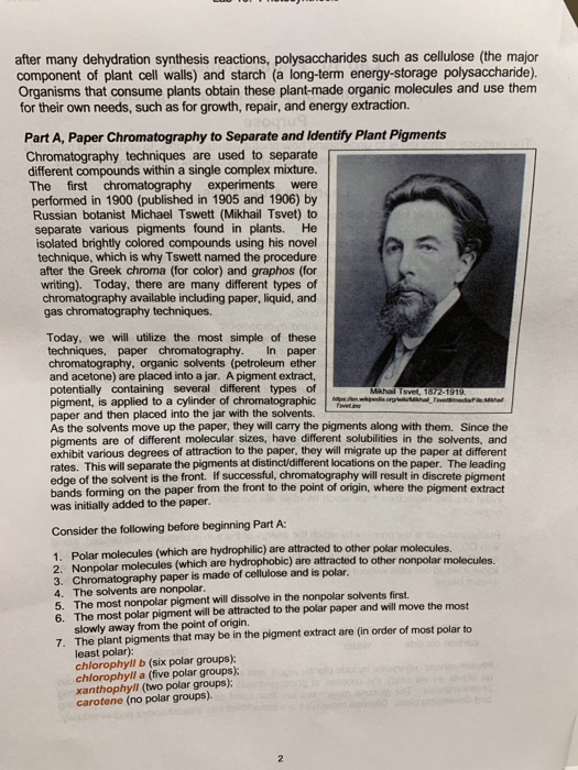 Lab 10. Photosynthesis Paper Chromatography and Plant