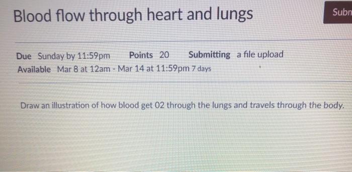 Subn Blood flow through heart and lungs Due Sunday by 11:59pm Points 20 Submitting a file upload Available Mar 8 at 12am - Ma