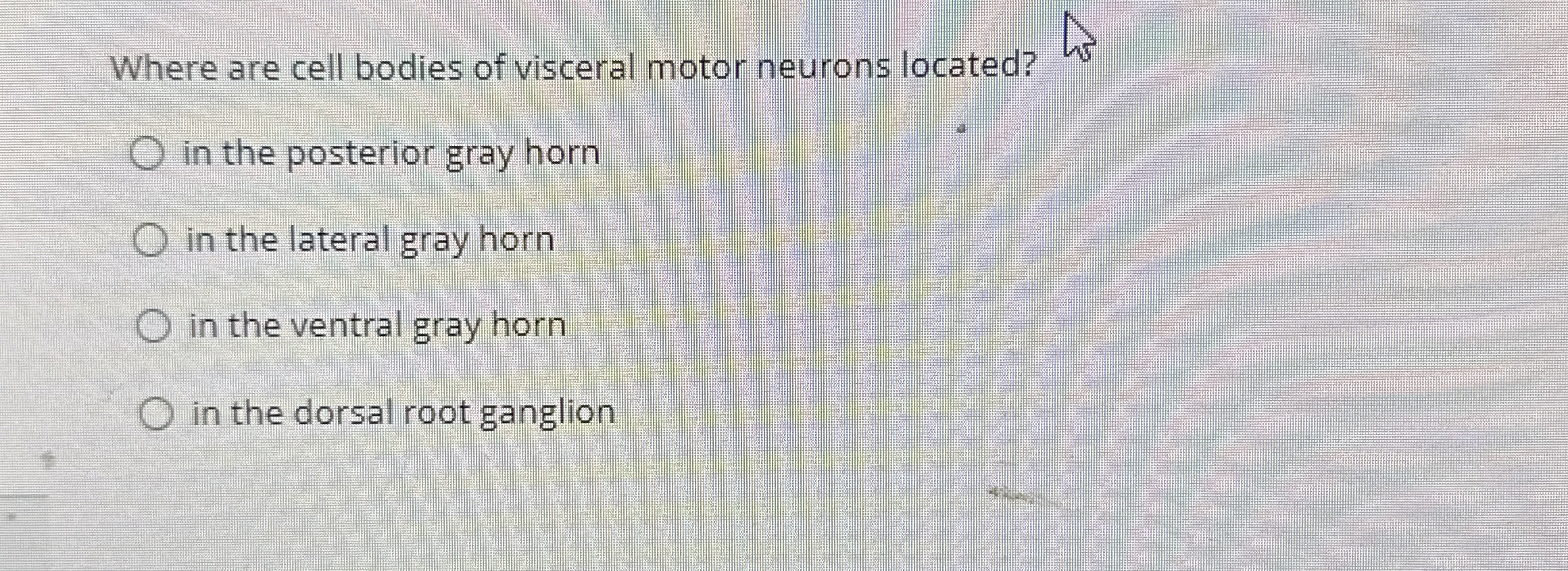 Solved Where are cell bodies of visceral motor neurons | Chegg.com