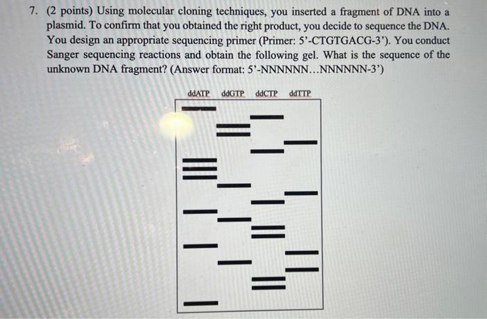 Solved 7. (2 Points) Using Molecular Cloning Techniques, You | Chegg.com