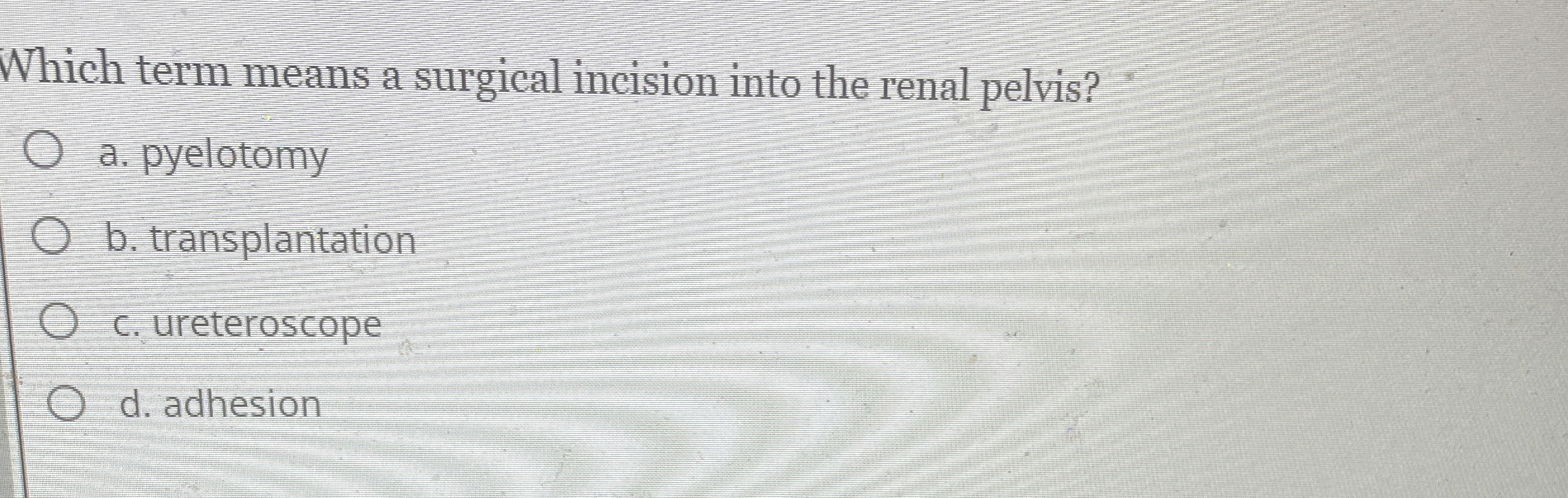 Solved Which term means a surgical incision into the renal | Chegg.com