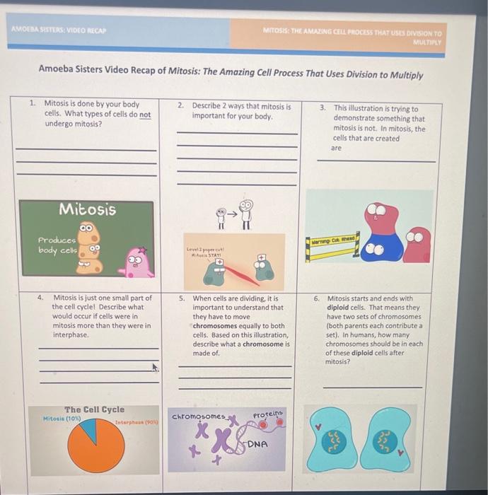 Solved AMOEBA SISTERS VIDEO RECA MITOSIS: THE AMAZING CELL | Chegg.com