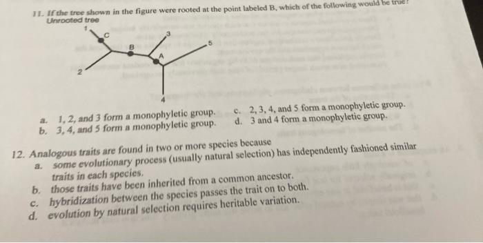 Solved 11. If the tree shown in the figure were rooted at | Chegg.com
