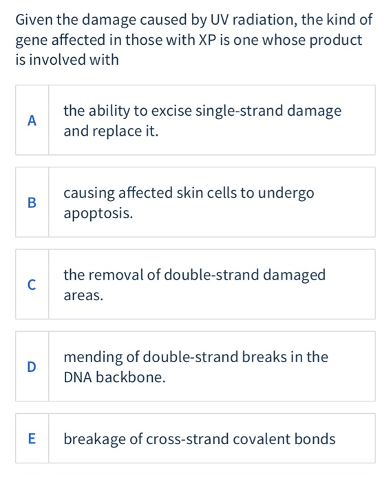 Solved Given the damage caused by UV radiation, the kind of | Chegg.com