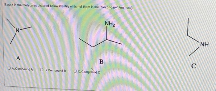 Based in the molecules pictured below identify which | Chegg.com