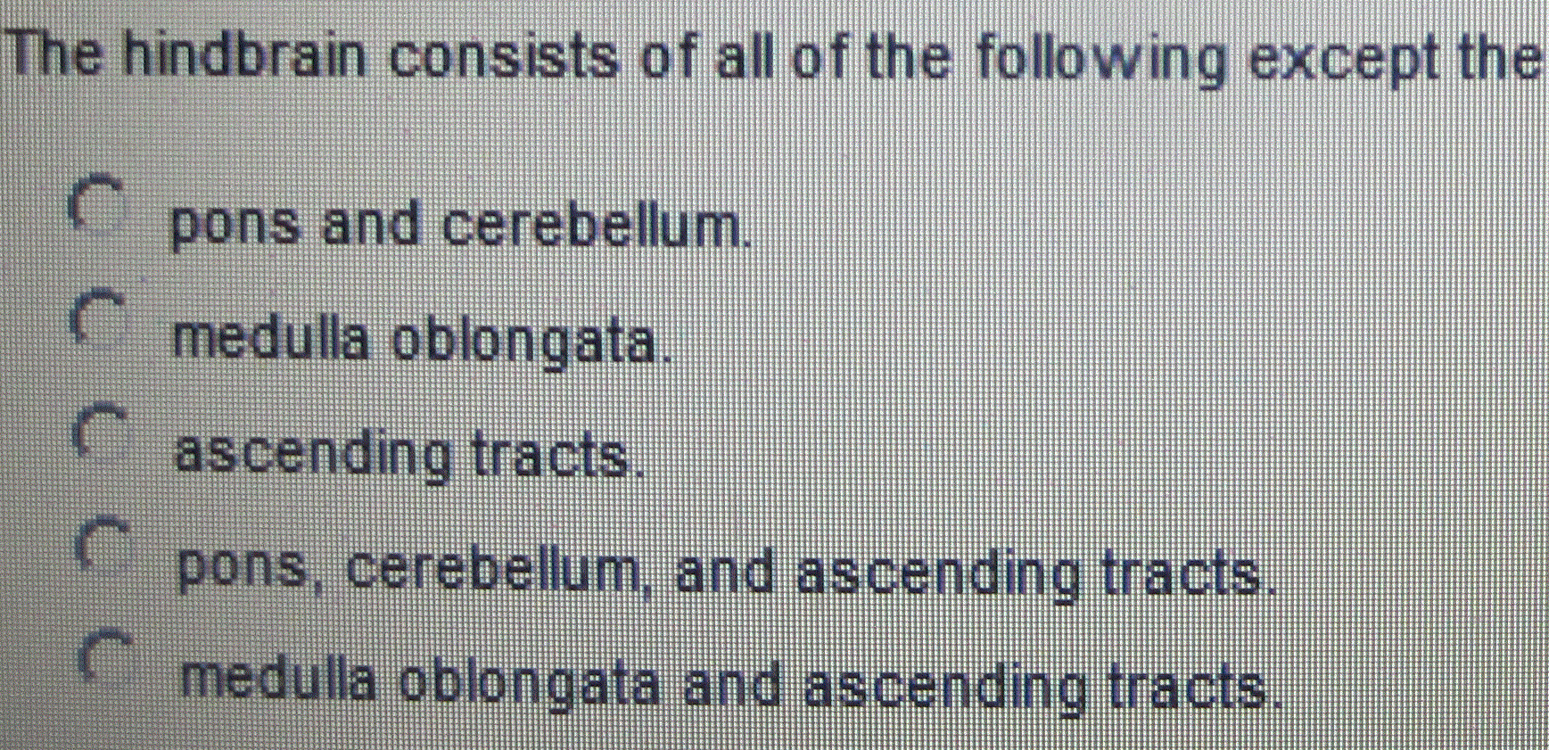 Solved The Hindbrain Consists Of All Of The Following Except | Chegg.com