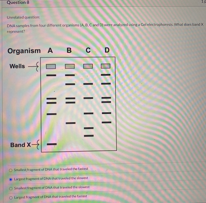 unfriended dna case study answers