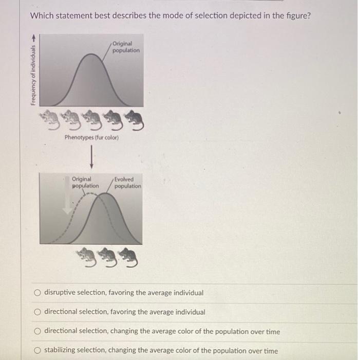 Solved Which statement best describes the mode of selection | Chegg.com