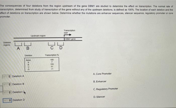 Solved The consequences of four deletions from the region | Chegg.com