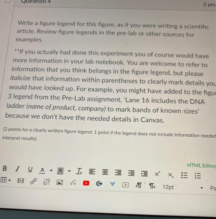 question 4 2 pts Write a figure legend for this | Chegg.com