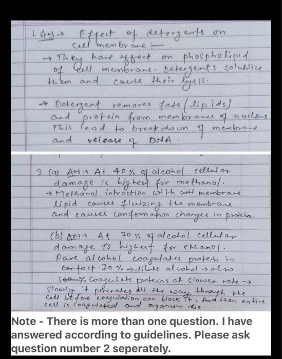 analysis and synthesis questions