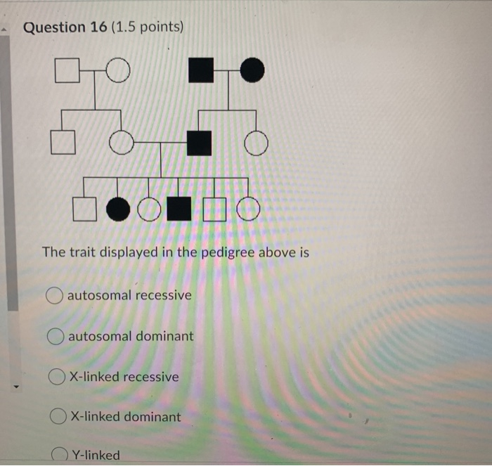 Solved Question 16 (1.5 points) The trait displayed in the | Chegg.com