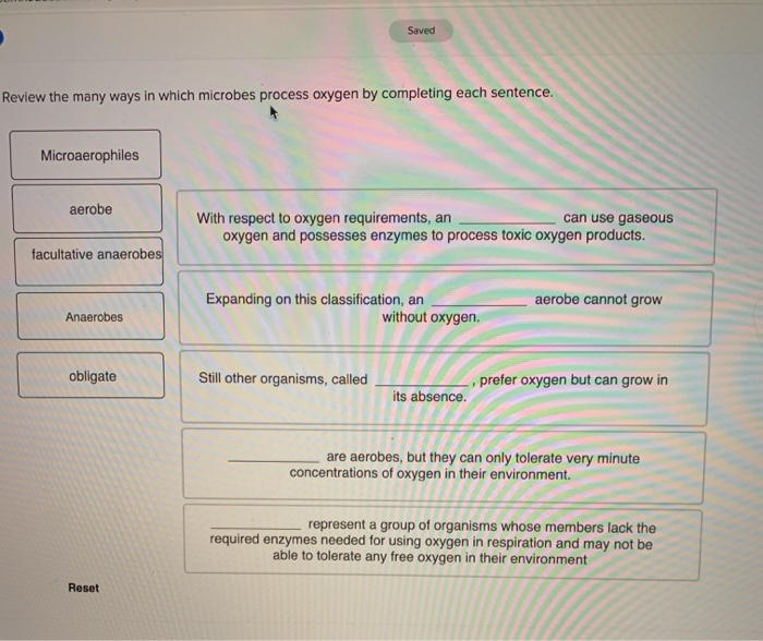 Solved Saved Review the many ways in which microbes process